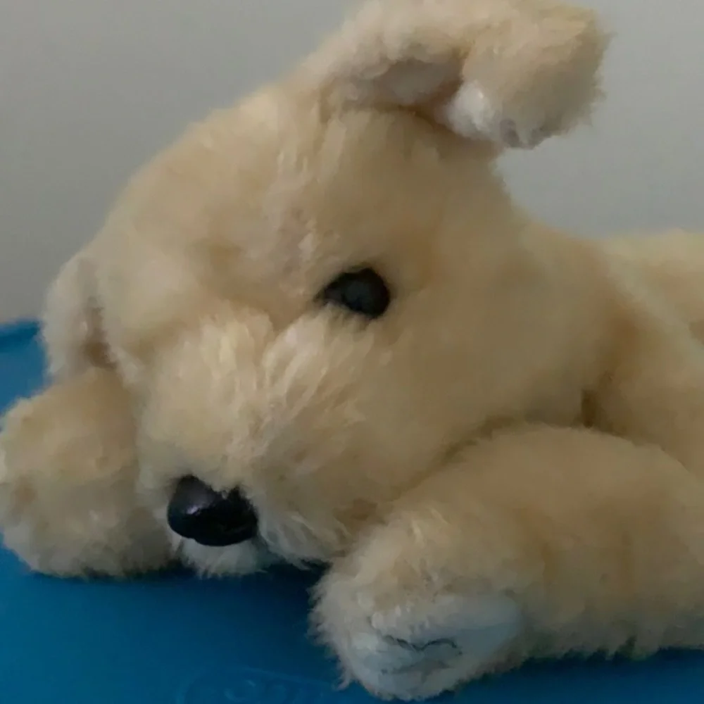 Ty dog pre